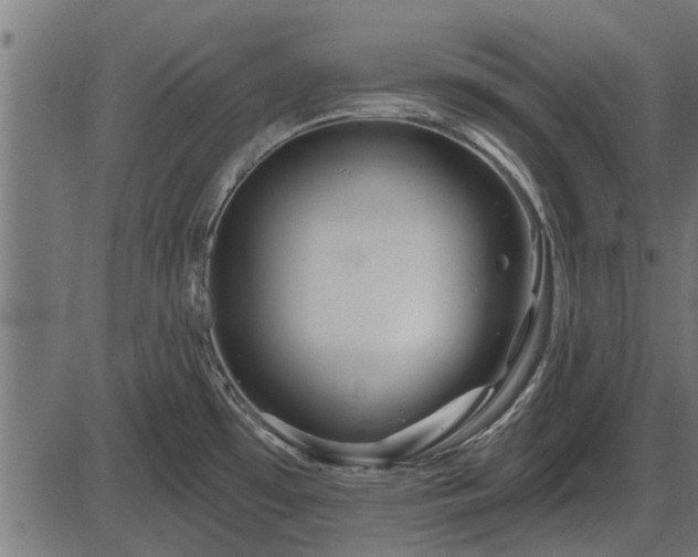 X0000086301481200704091008