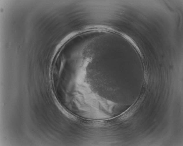 X0000086301482200704091008