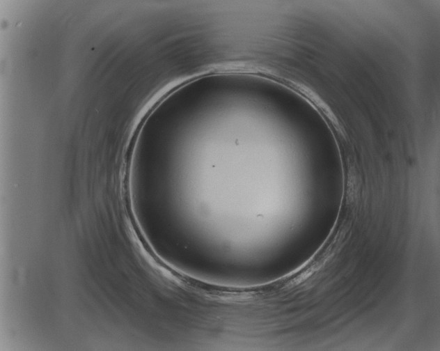 X0000086301484200704091008