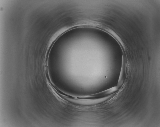 X0000086301485200704091008