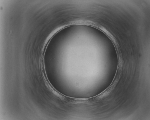 X0000086301486200704091008