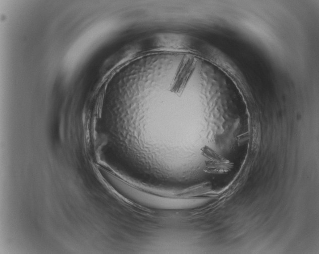 X0000086301487200704091008