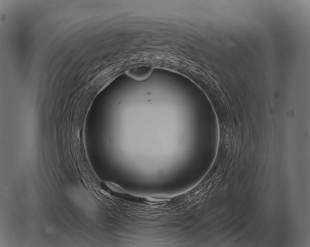 X0000086301489200704091007