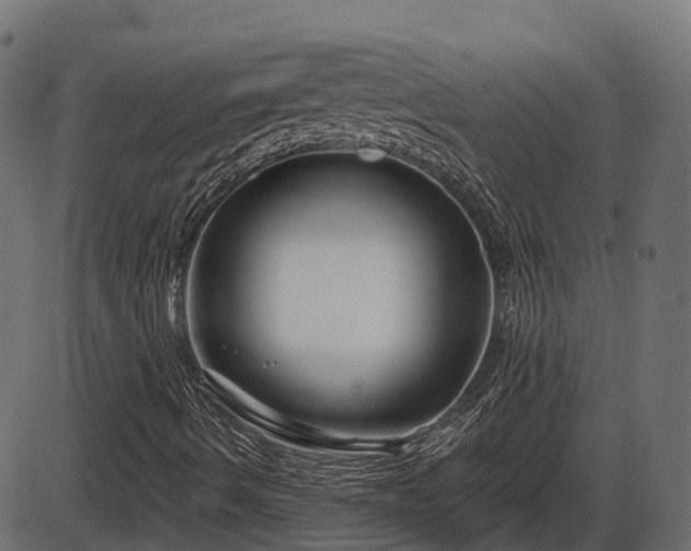 X0000086301490200704091007