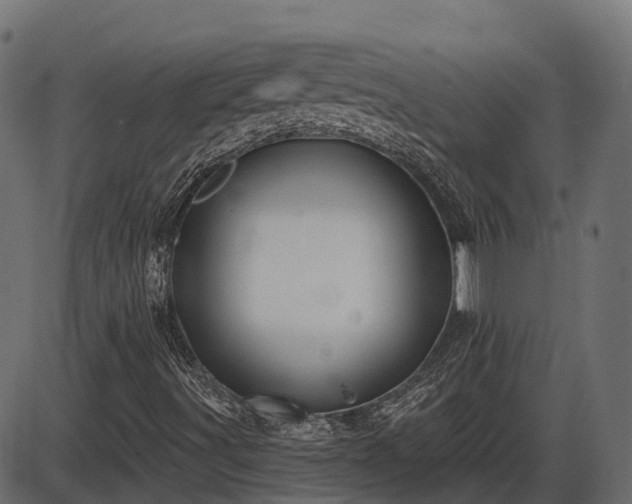 X0000086301491200704091007