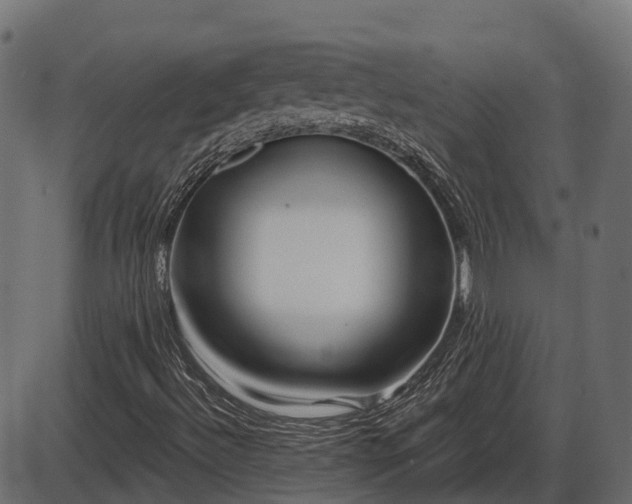 X0000086301492200704091007