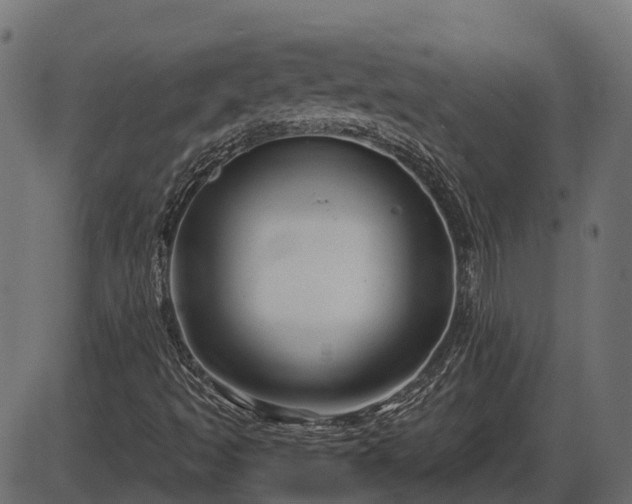 X0000086301493200704091007