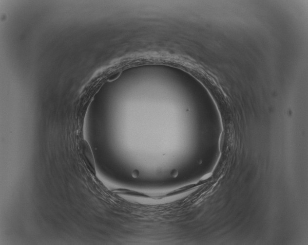 X0000086301494200704091008