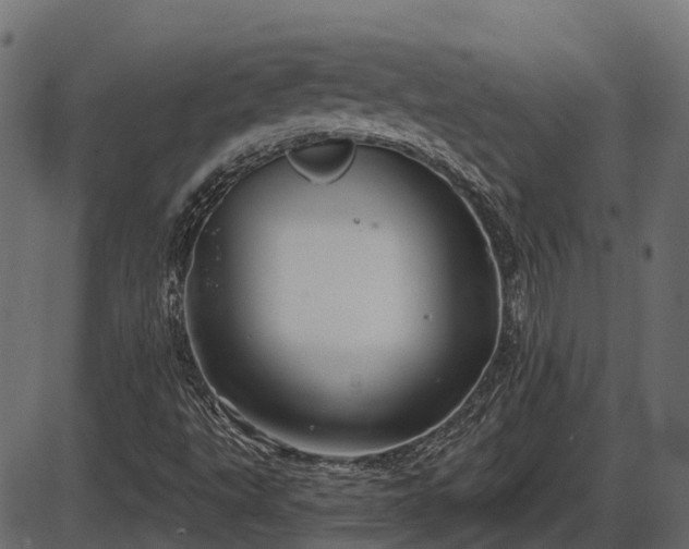 X0000086301495200704091008