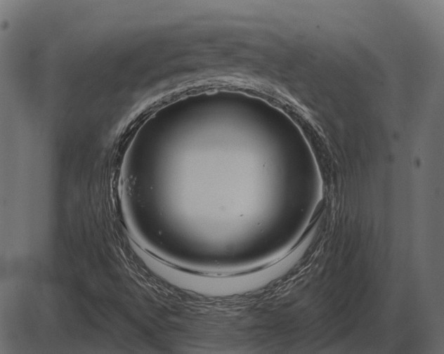 X0000086301496200704091008