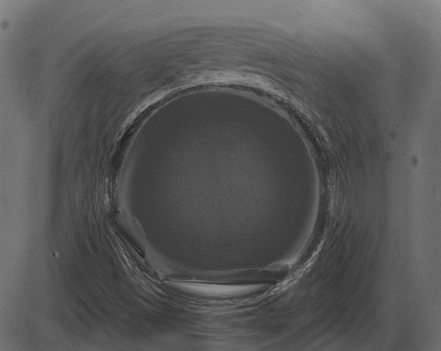 X0000086301497200704091008