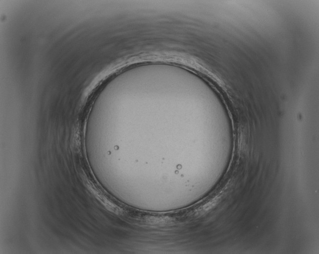 X0000086301498200704091008