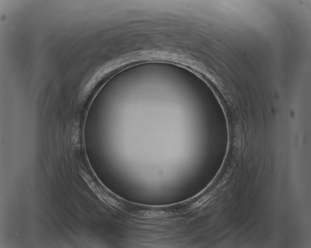 X0000086301499200704091008