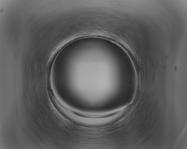 X0000086301500200704091008