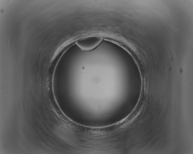 X0000086301501200704091008