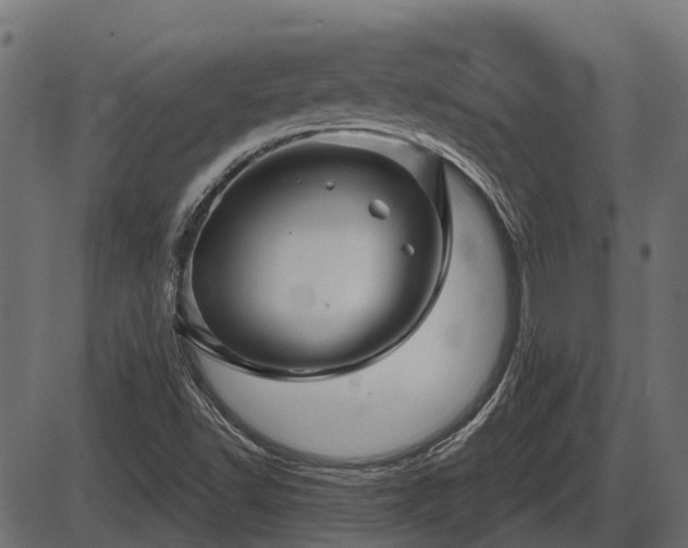 X0000086301502200704091008