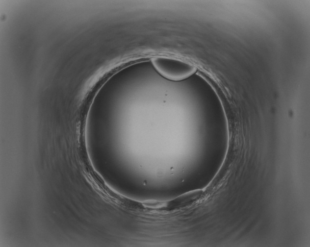 X0000086301503200704091008