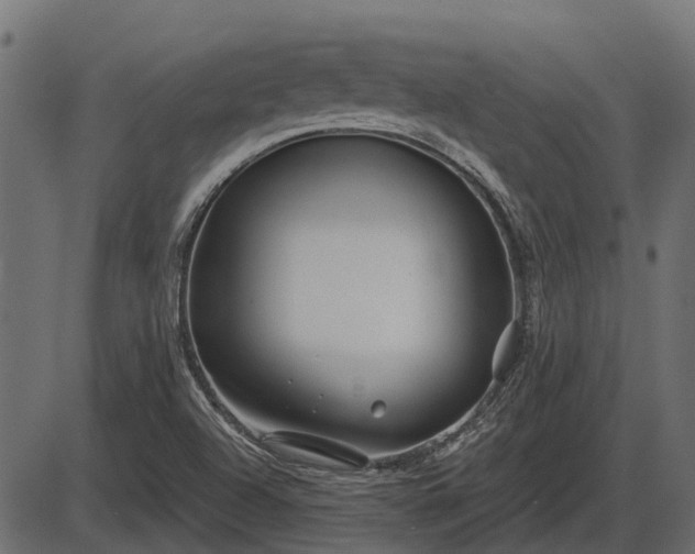 X0000086301504200704091008