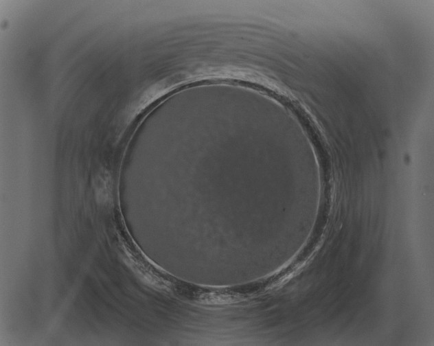 X0000086301505200704091008