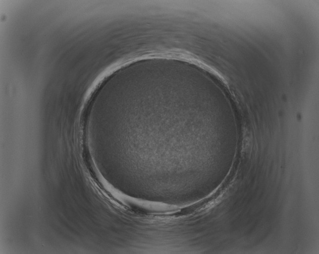 X0000086301506200704091008