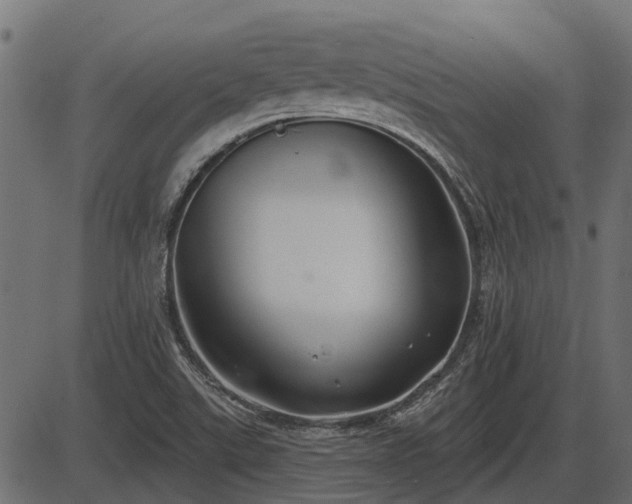 X0000086301507200704091008