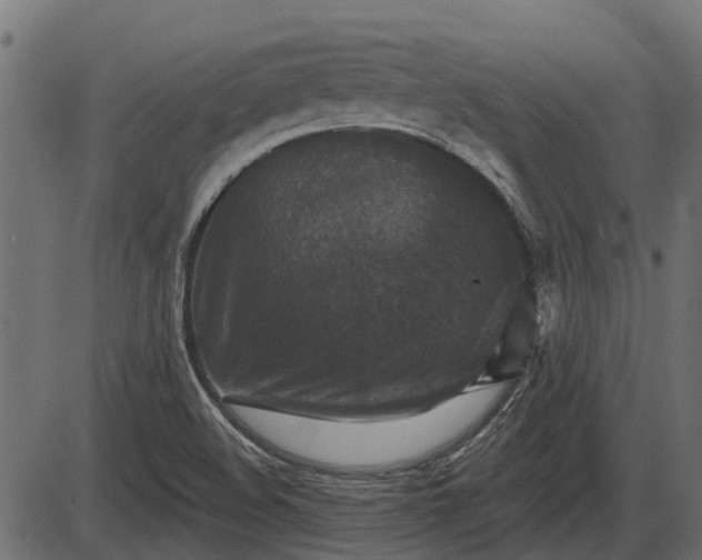 X0000086301508200704091008