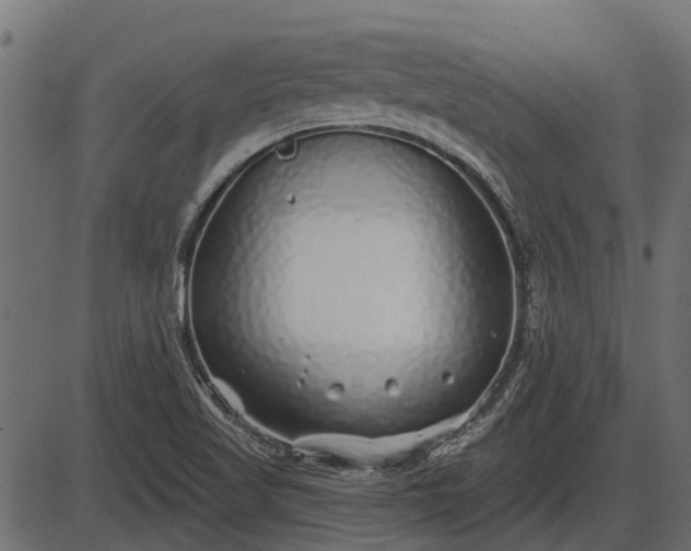 X0000086301509200704091008