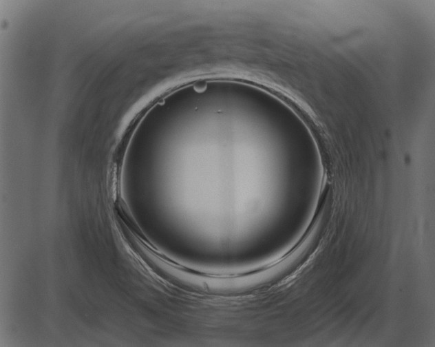 X0000086301510200704091008