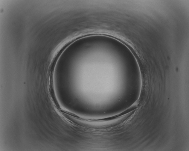 X0000086301511200704091008