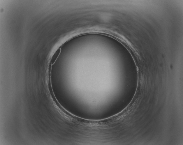 X0000086301512200704091008