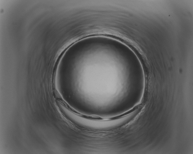 X0000086301513200704091008