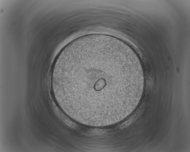 X0000086301514200704091008