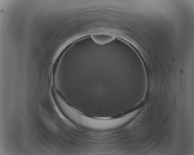 X0000086301515200704091008