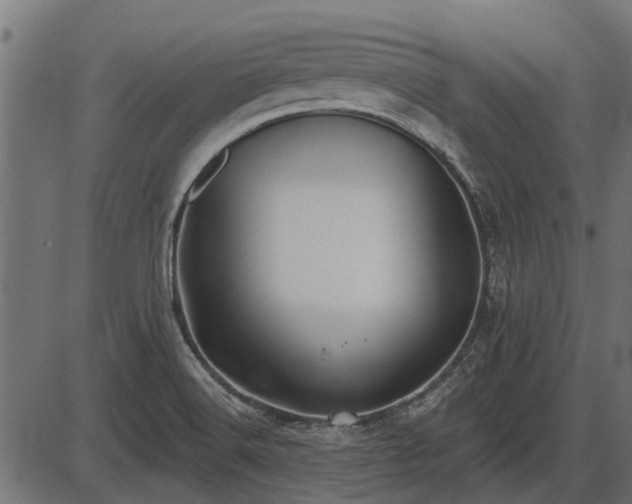 X0000086301516200704091008