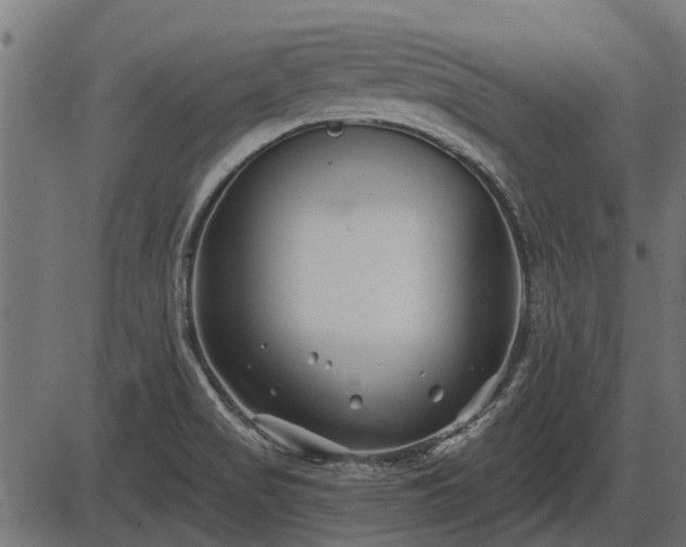 X0000086301517200704091008