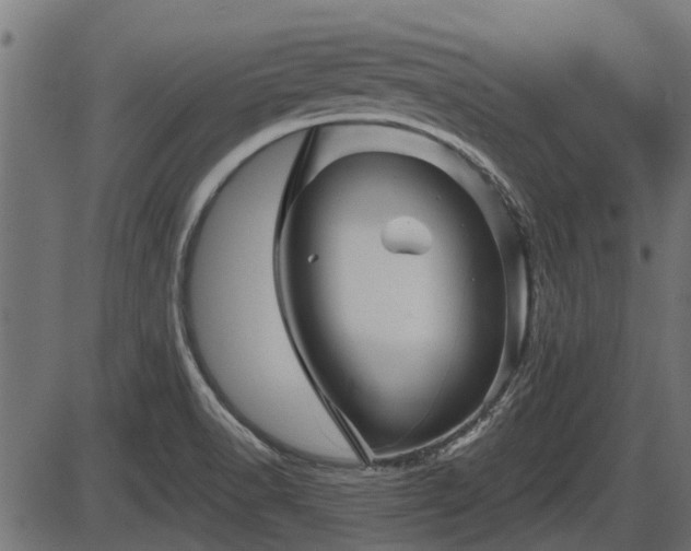 X0000086301518200704091008