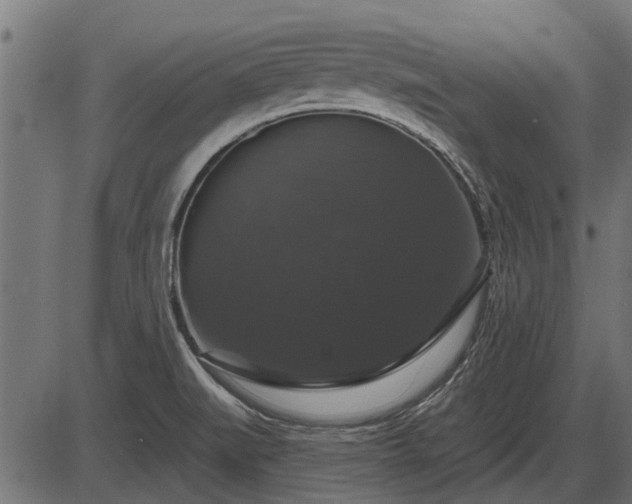 X0000086301519200704091008