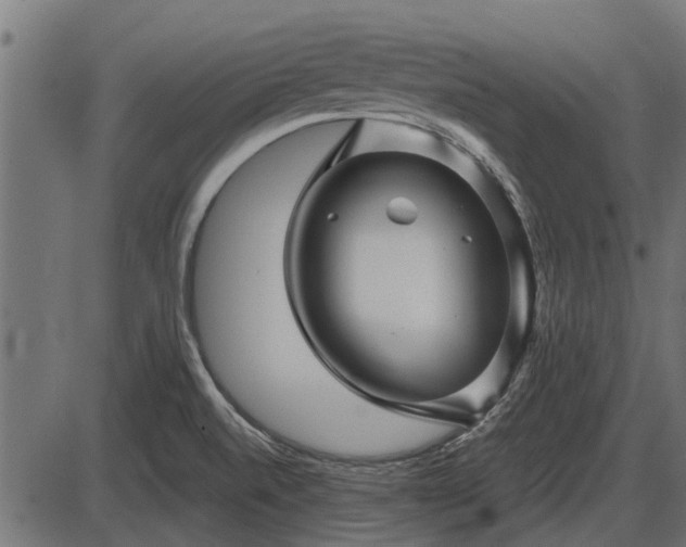 X0000086301520200704091008