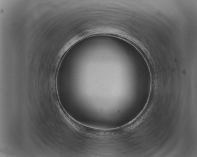 X0000086301521200704091008