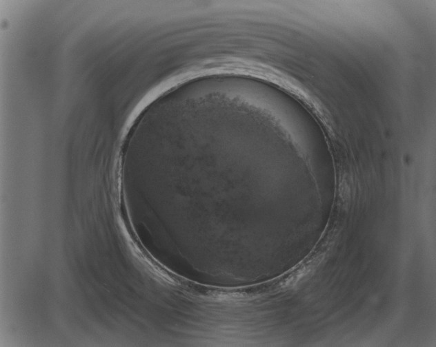 X0000086301522200704091008