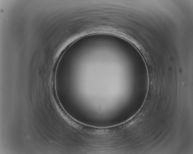 X0000086301523200704091008