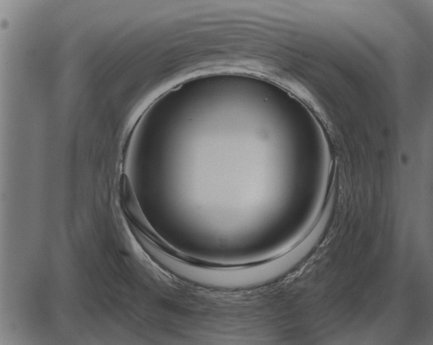 X0000086301524200704091008