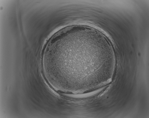 X0000086301525200704091008