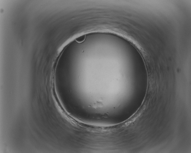 X0000086301526200704091008