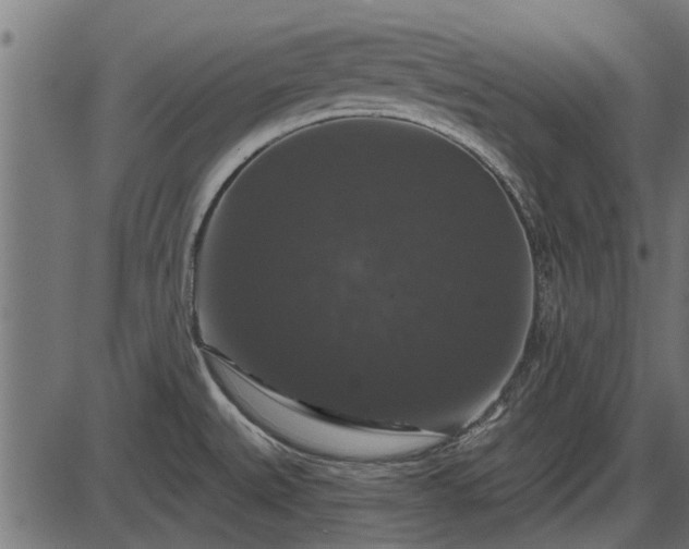 X0000086301527200704091008