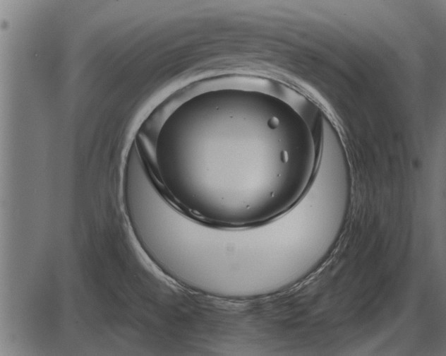 X0000086301528200704091008