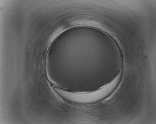 X0000086301529200704091008