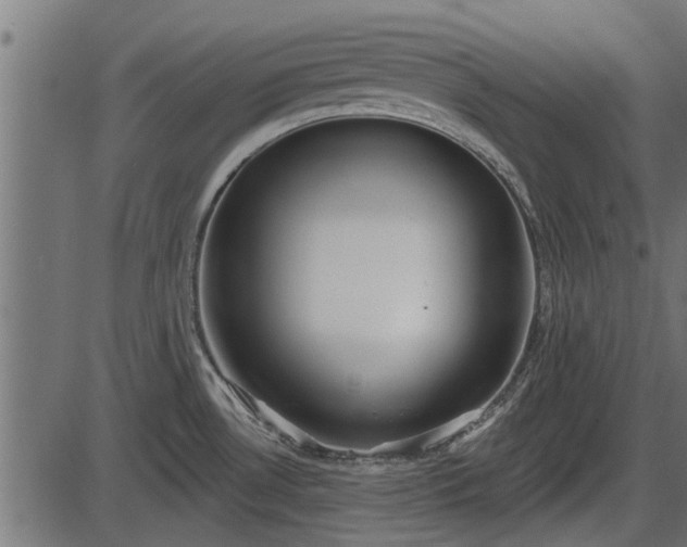 X0000086301530200704091008