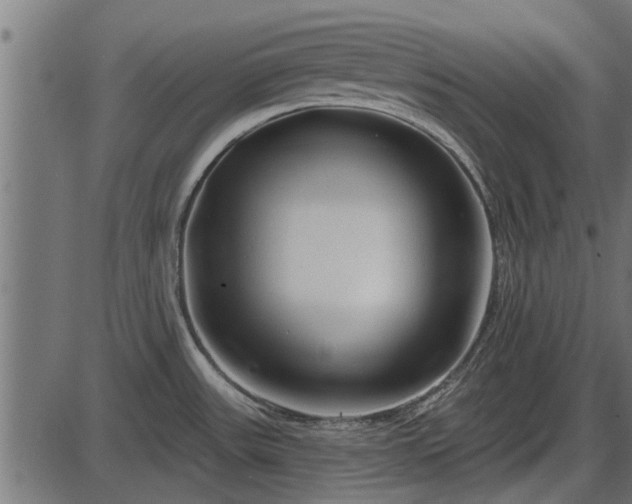 X0000086301531200704091008