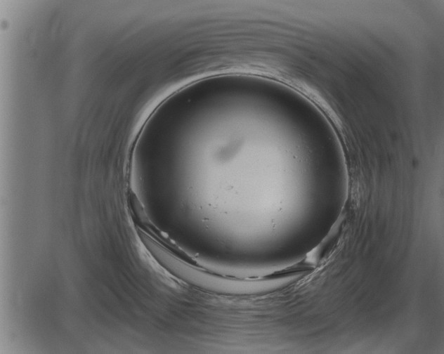 X0000086301532200704091008